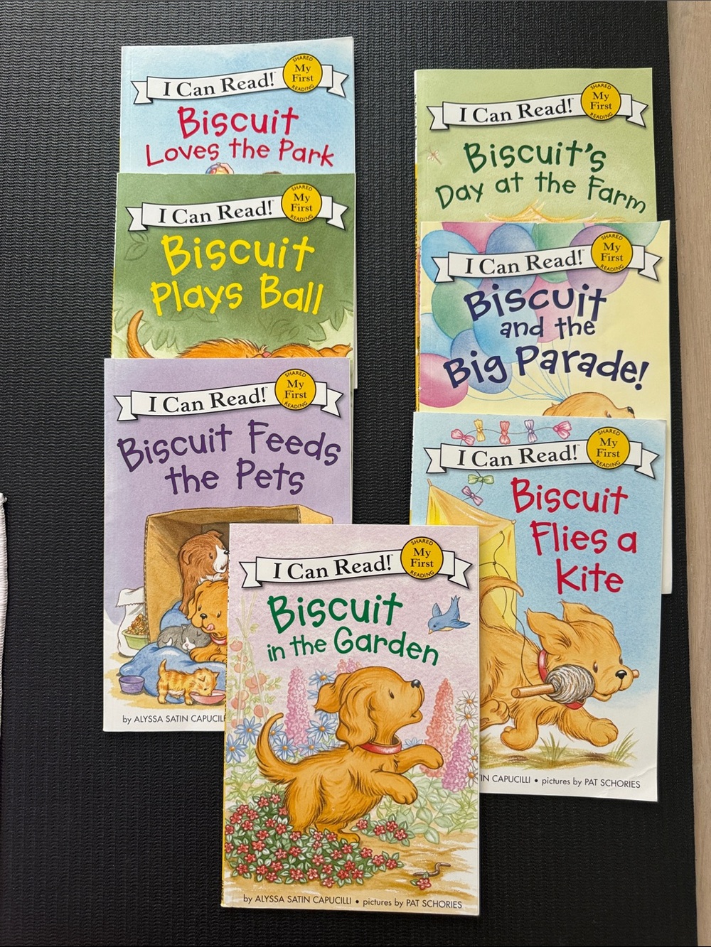 Biscuit My First Reading Books